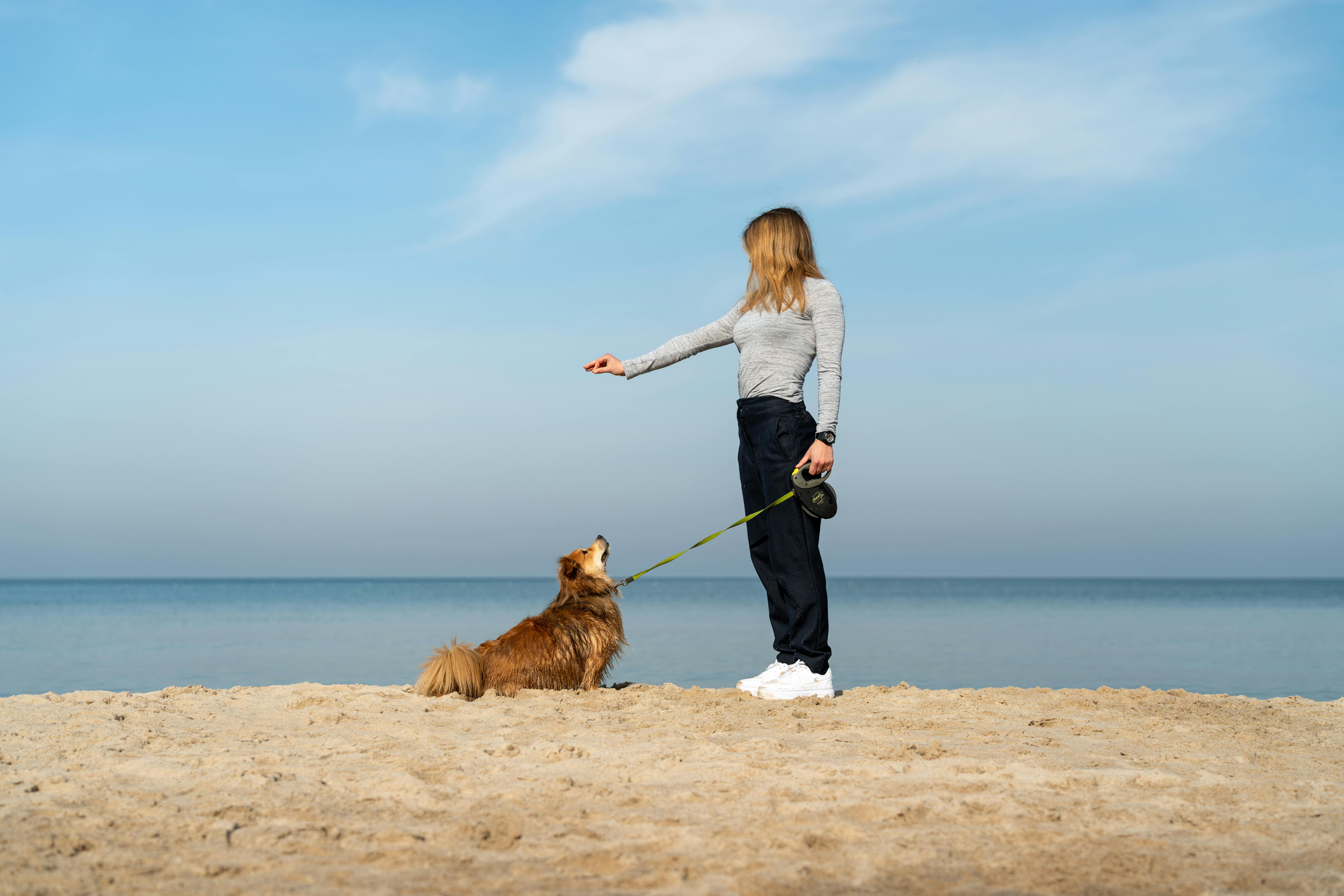 A woman walks her dog on Kołobrzeg beach on a sunny day, capturing a serene moment by the sea.