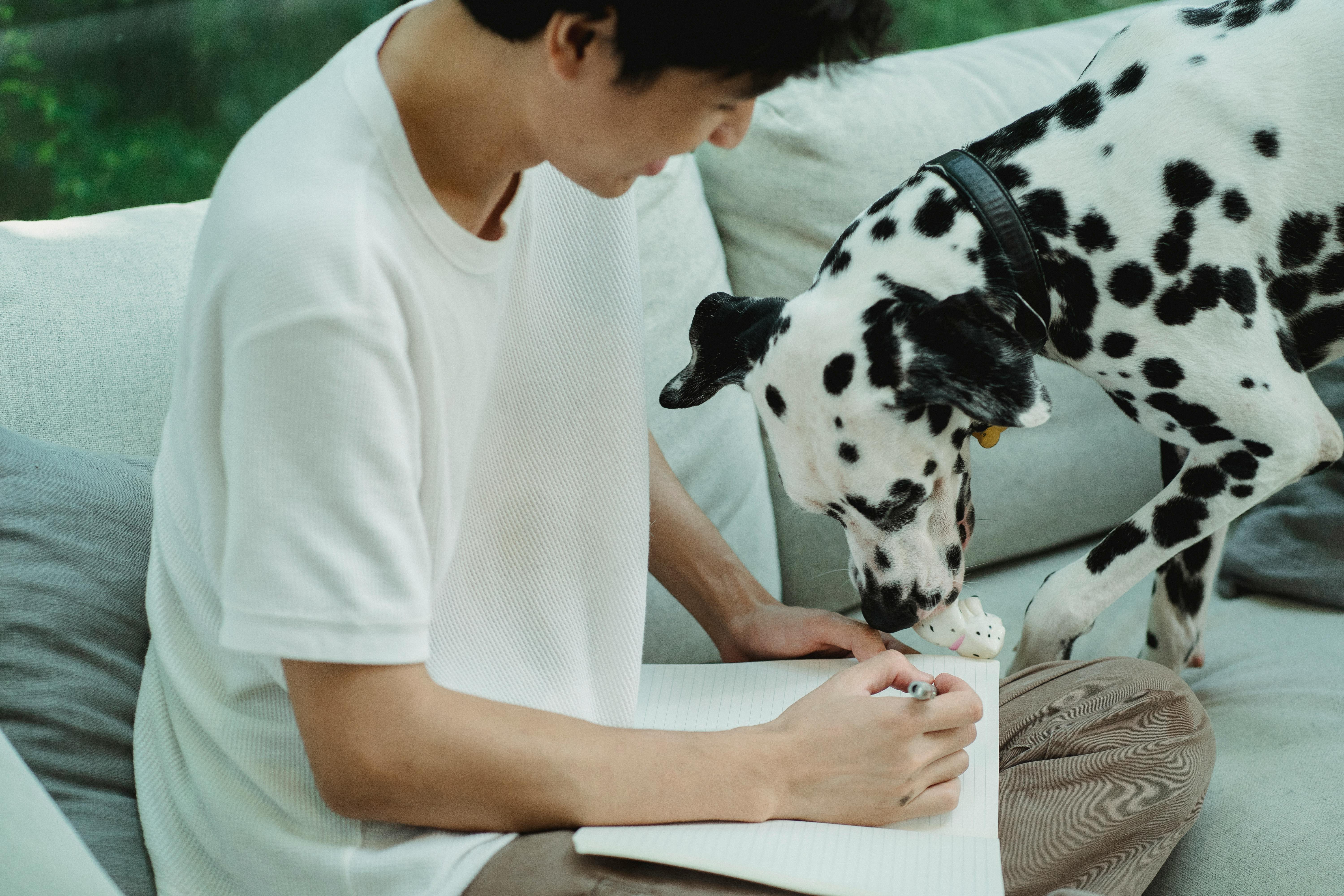 A man writing in a notebook with a Dalmatian dog playing nearby, creating a cozy indoor scene.