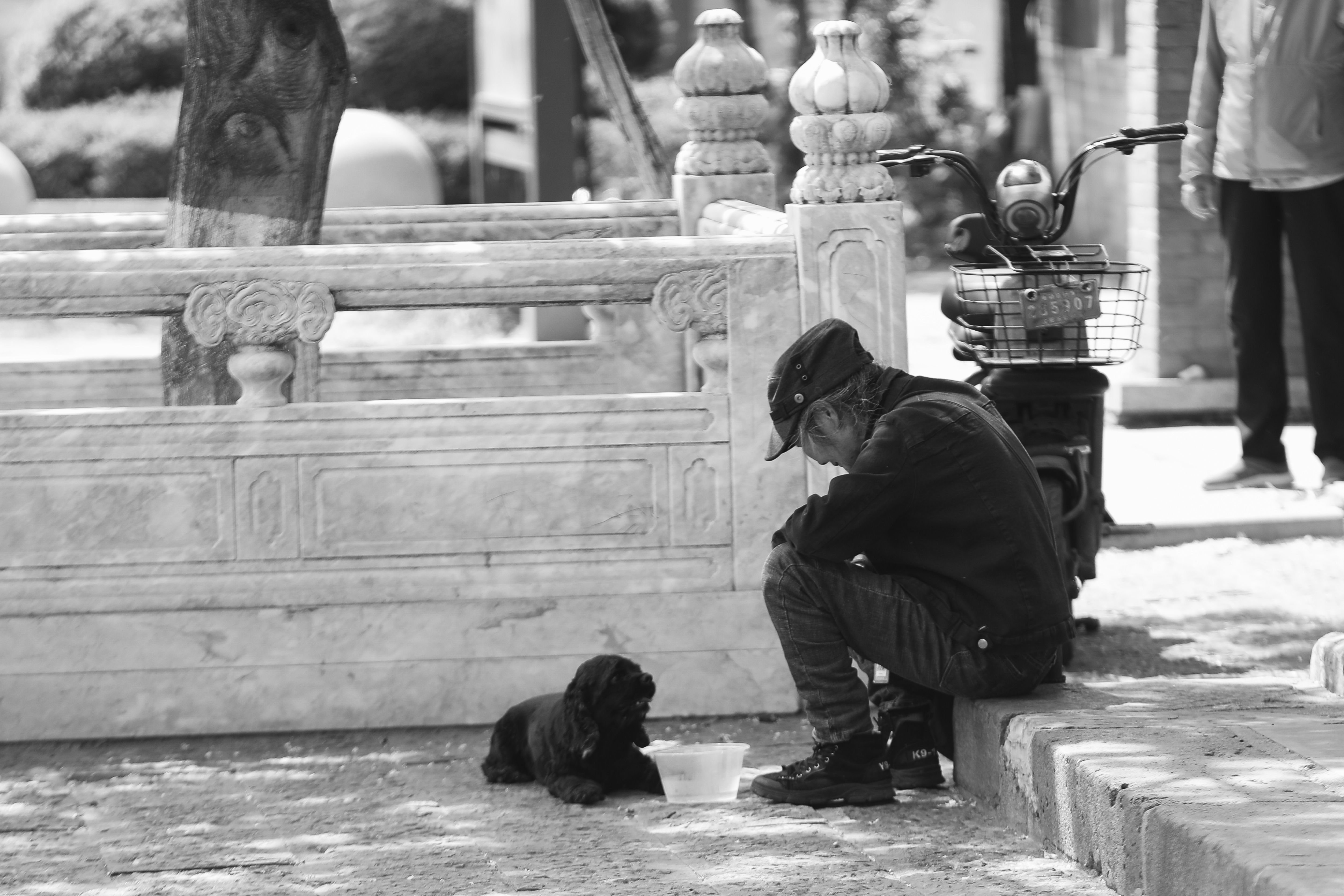 Elderly man in black attire resting with a dog beside a traditional stone railing.