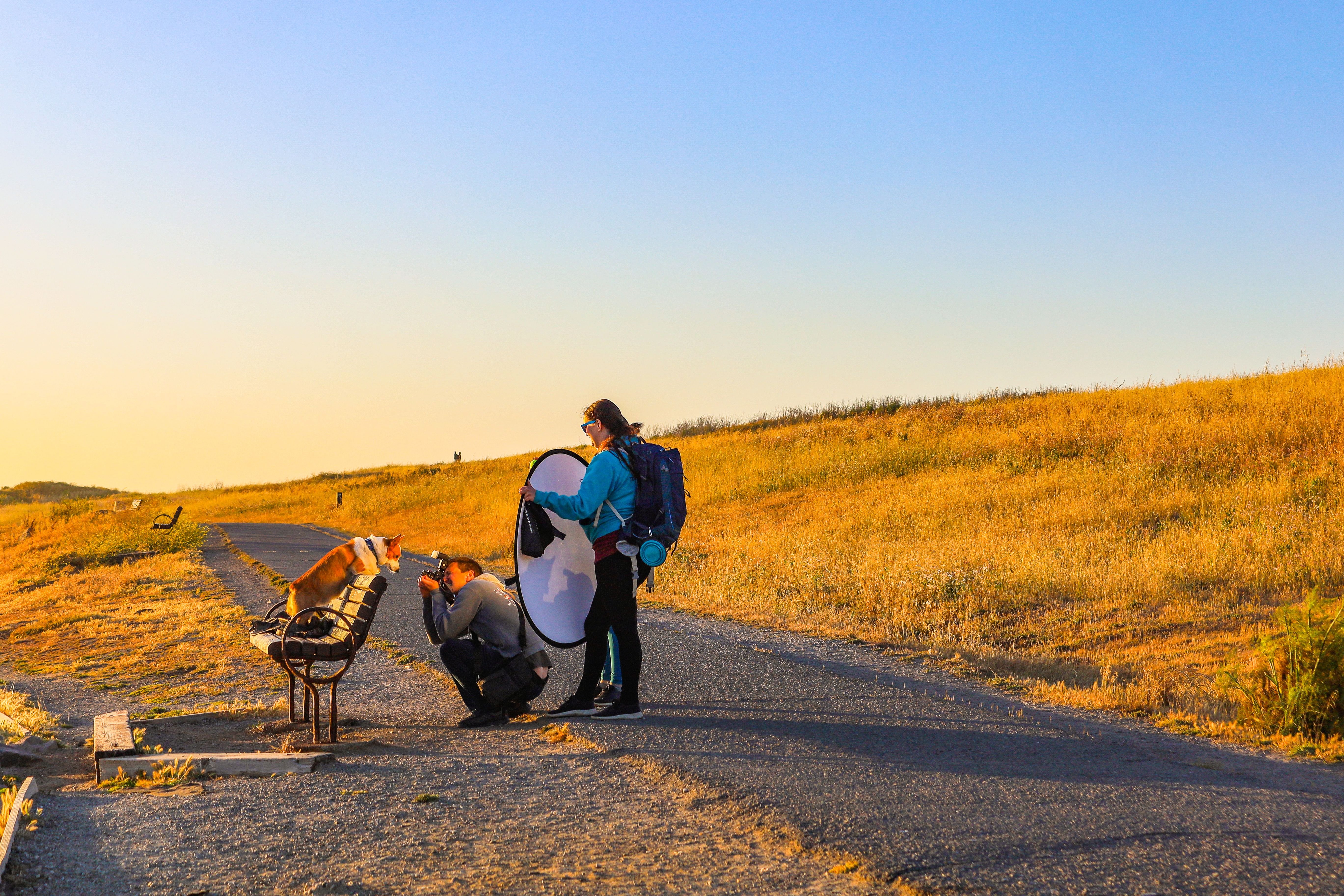 Photographer capturing a dog on a bench in rural landscape during sunset.