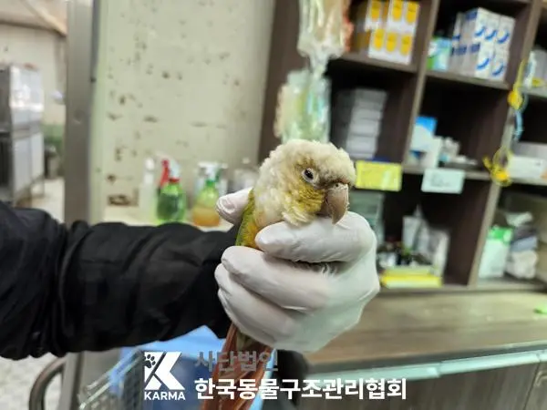 기타축종 보호중 사진