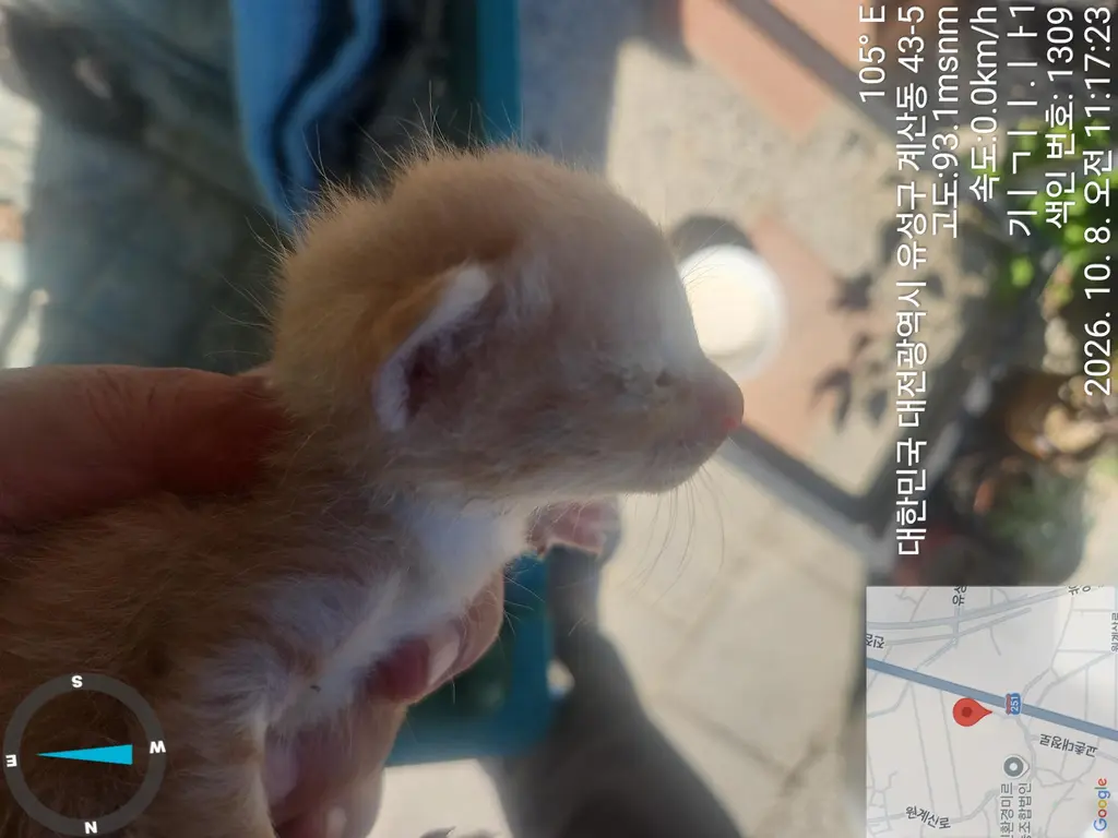 기타 보호중 사진