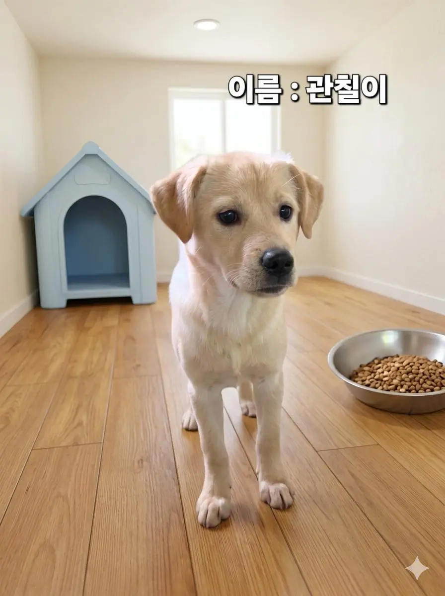 기타 보호중 사진