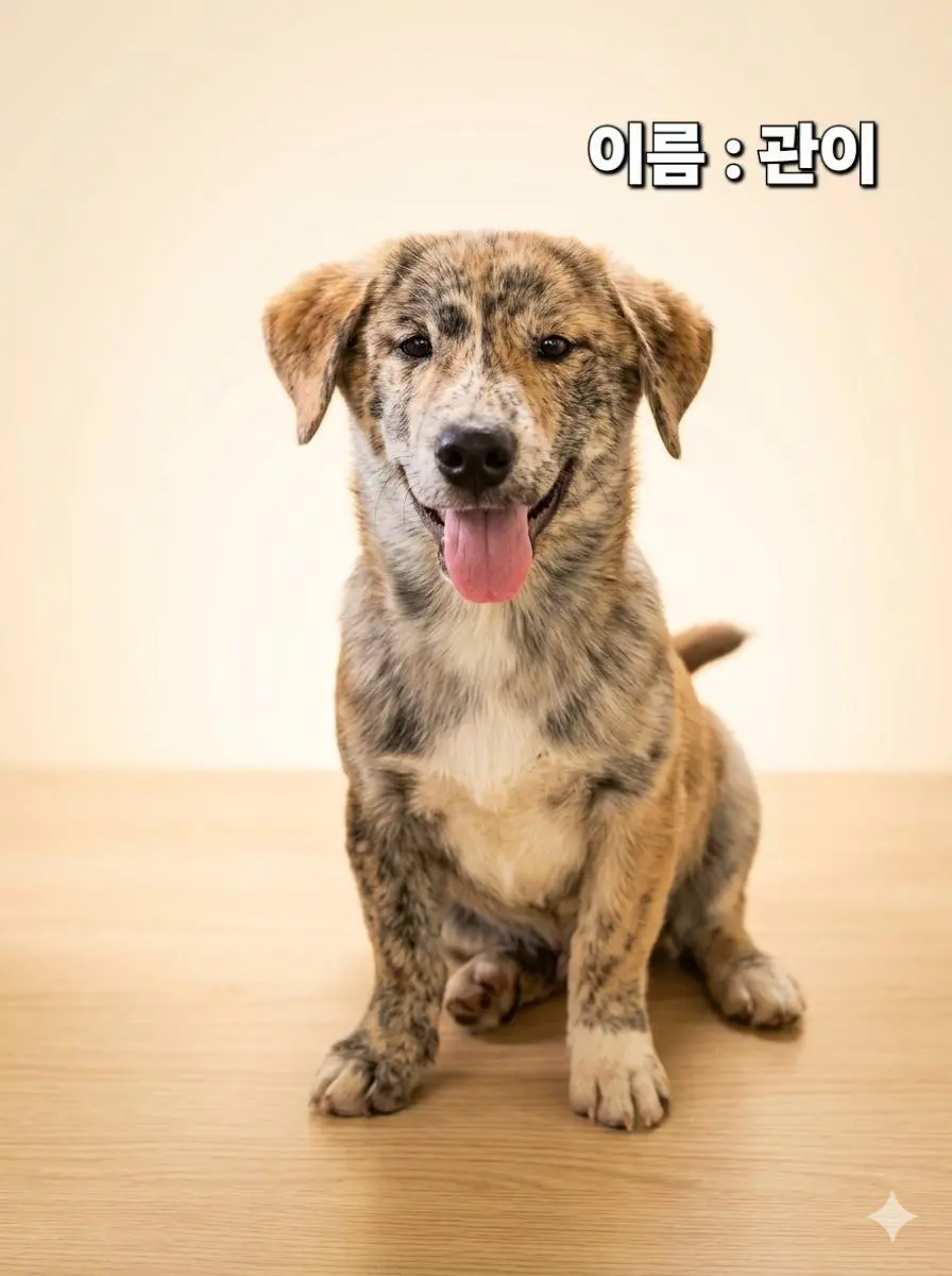 기타 보호중 사진