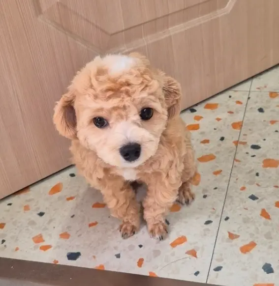 기타 보호중 사진