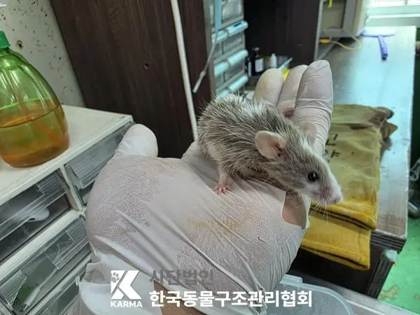 기타축종 보호중 사진