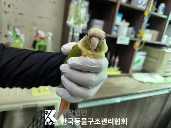 기타축종 보호중 사진