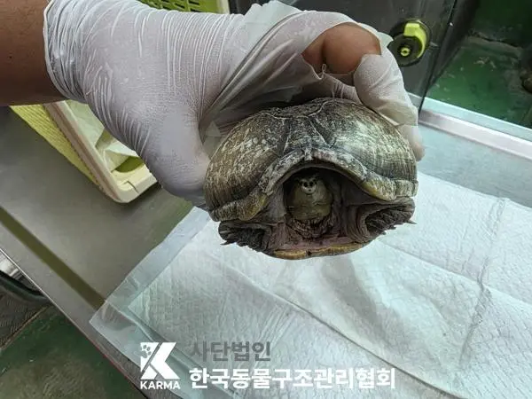 기타축종 보호중 사진