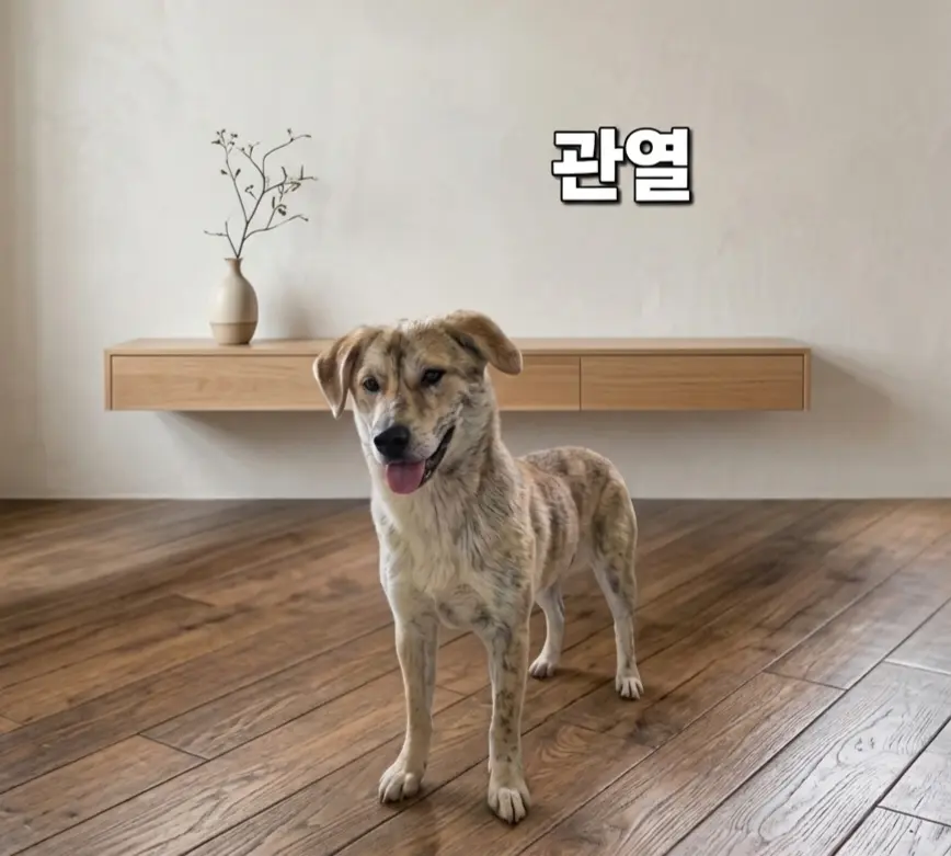 기타 보호중 사진