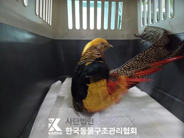 기타축종 보호중 사진