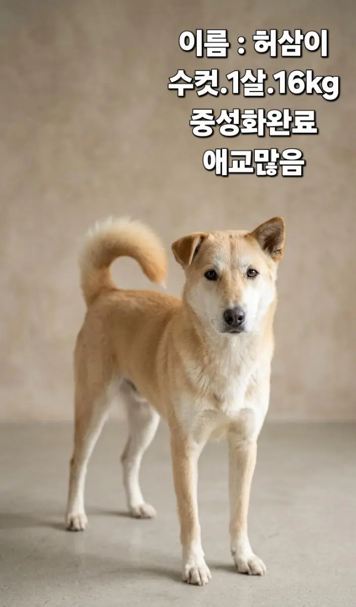 기타 보호중 사진