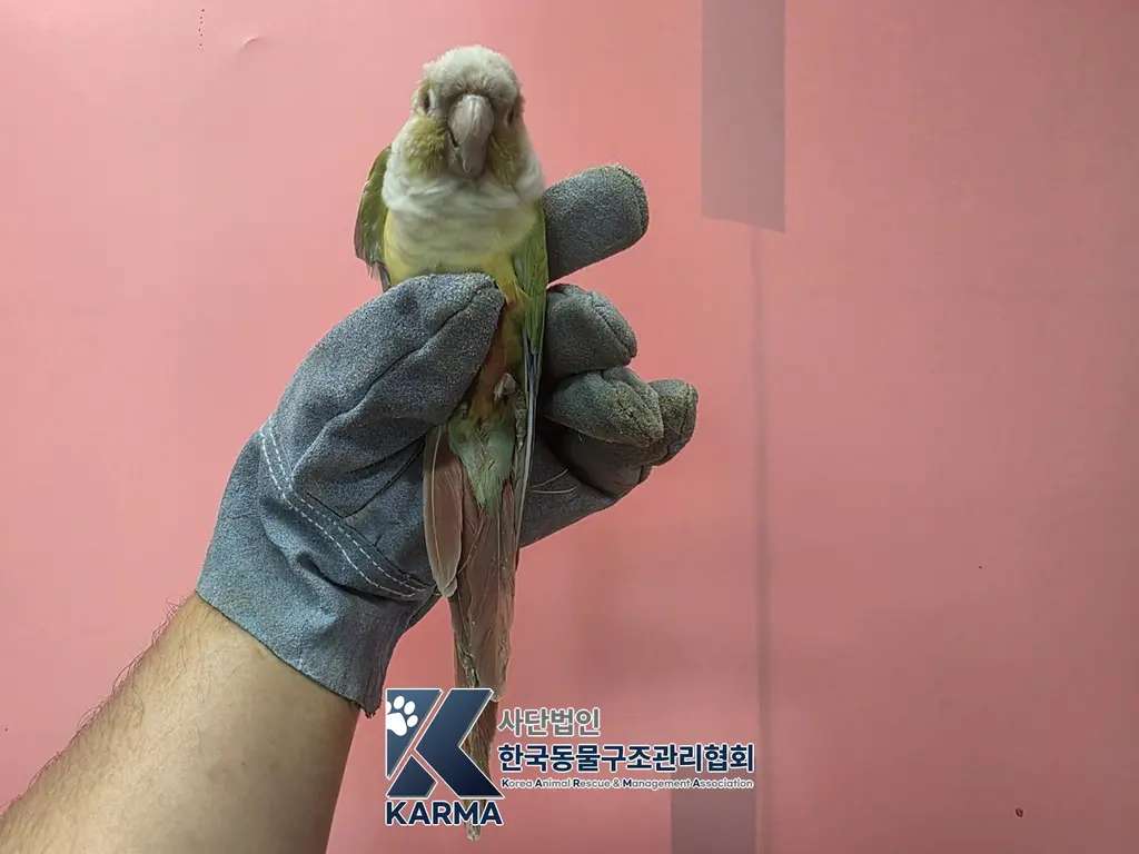 기타축종 보호중 사진