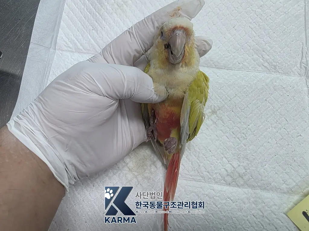 기타축종 보호중 사진