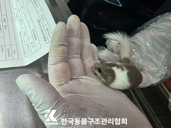 기타축종 보호중 사진