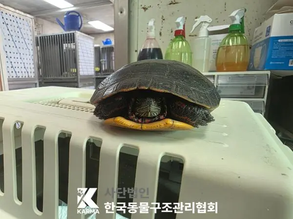 기타축종 보호중 사진