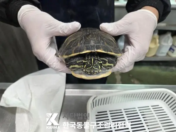 기타축종 보호중 사진