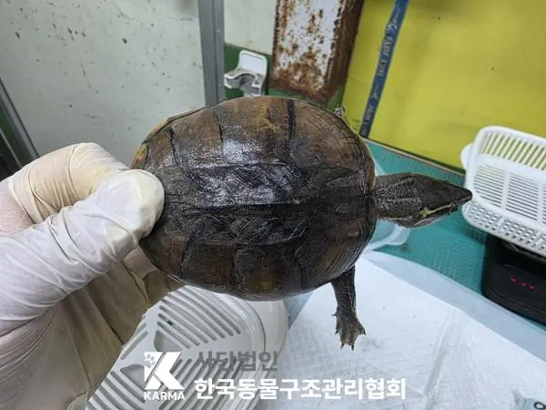기타축종 보호중 사진