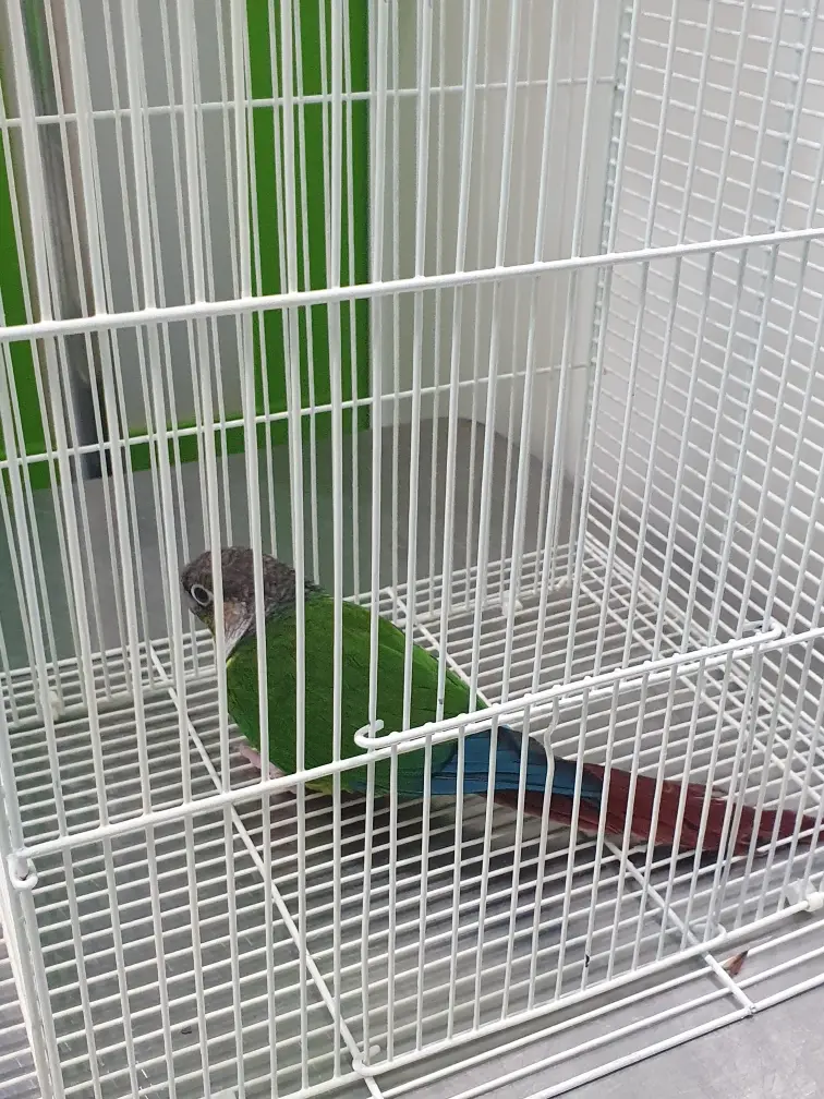 기타축종 보호중 사진