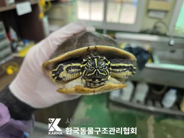 기타축종 보호중 사진