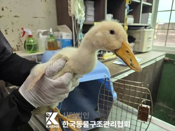 기타축종 보호중 사진