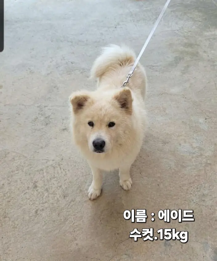 기타 보호중 사진