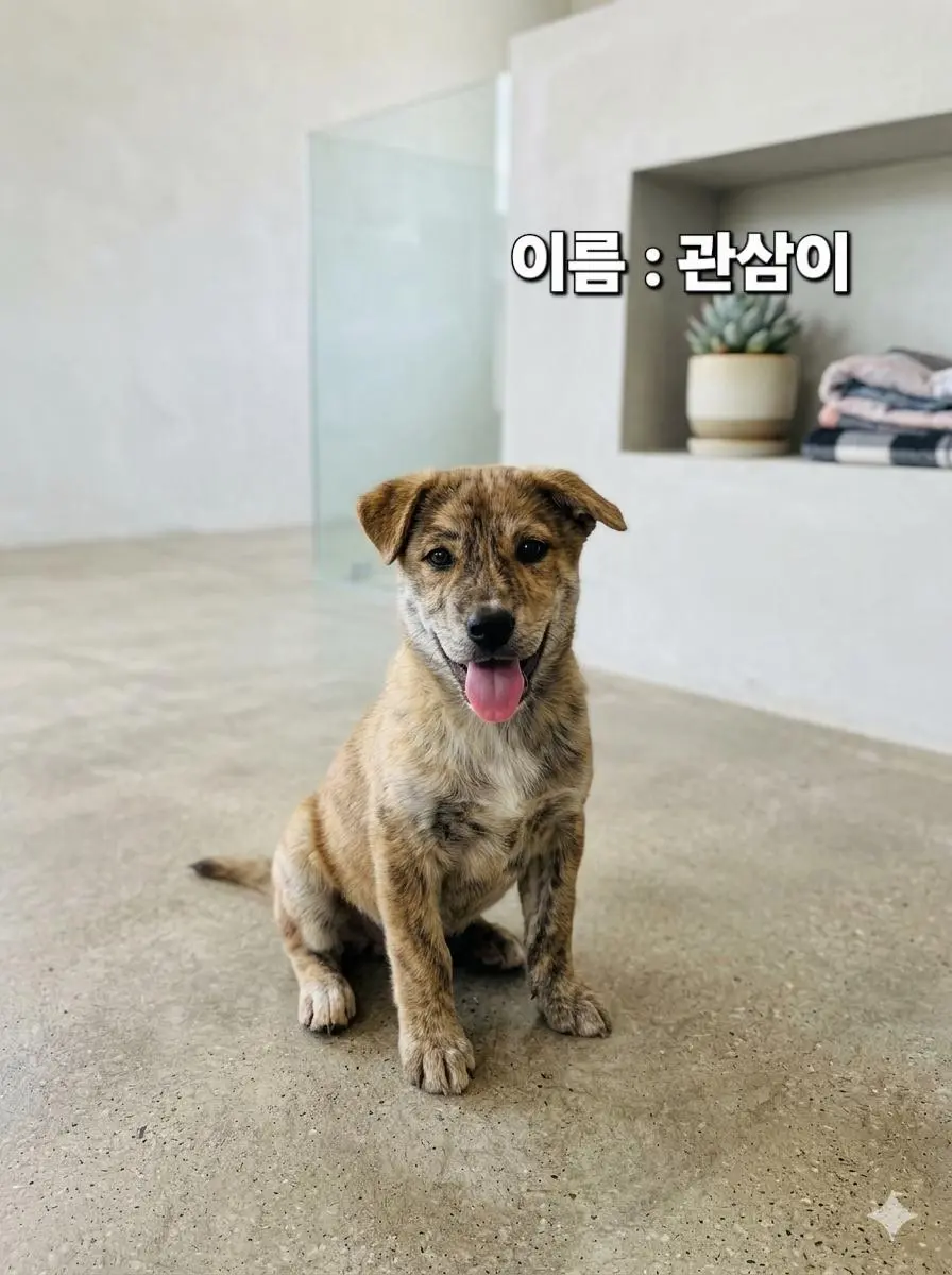 기타 보호중 사진