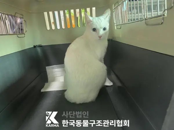 기타 보호중 사진