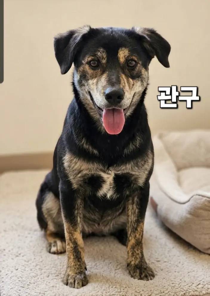 기타 보호중 사진