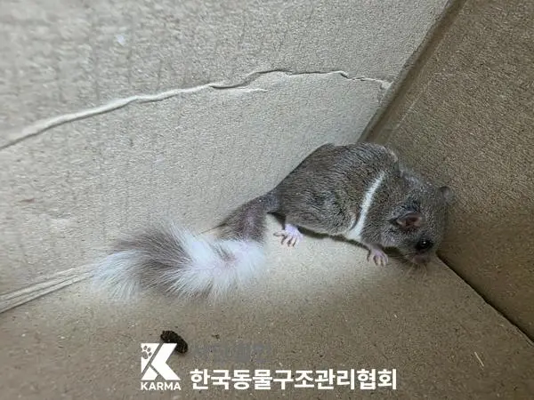 기타축종 보호중 사진