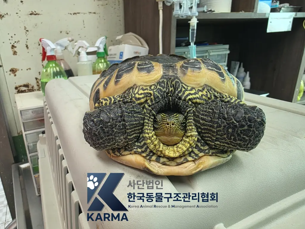 기타축종 보호중 사진
