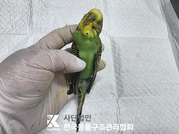 기타축종 보호중 사진