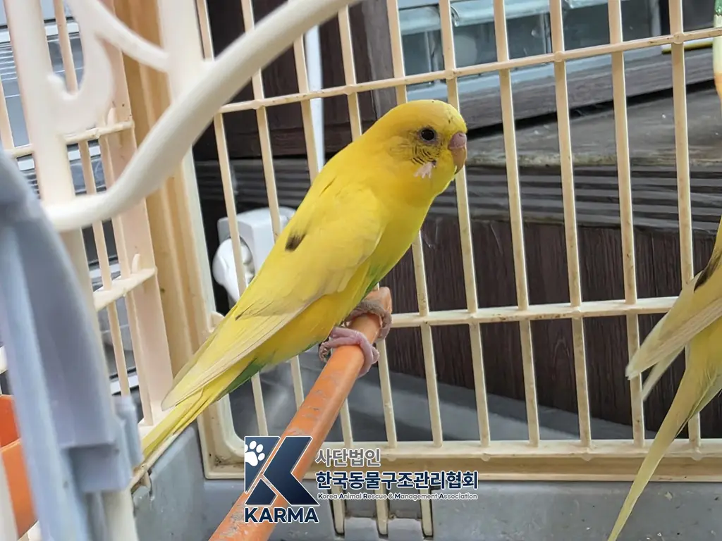 기타축종 보호중 사진