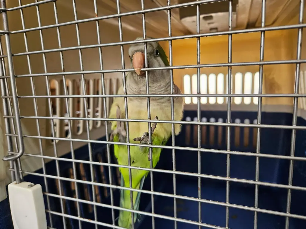기타축종 보호중 사진