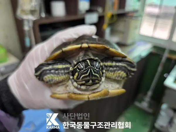 기타축종 보호중 사진