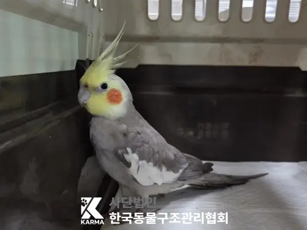 기타축종 보호중 사진