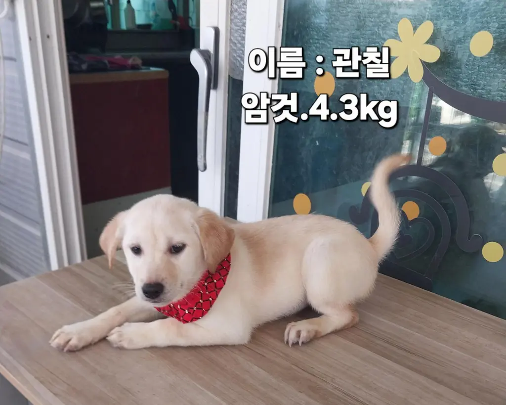 기타 보호중 사진