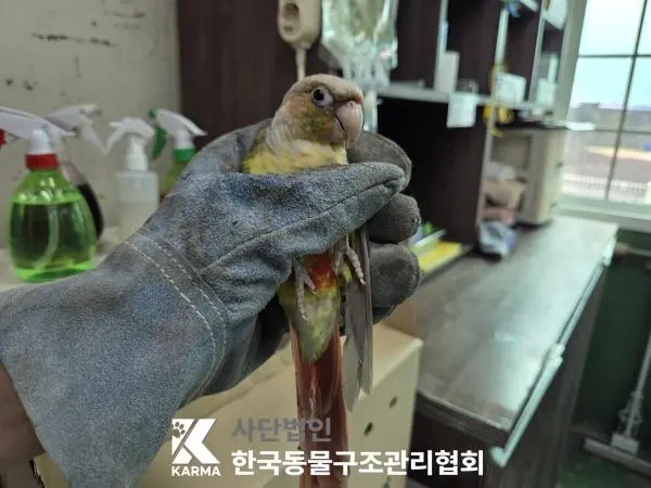 기타축종 보호중 사진