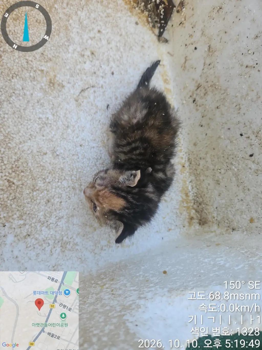 기타 보호중 사진