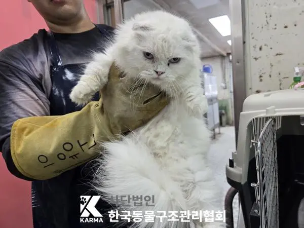 먼치킨 보호중 사진