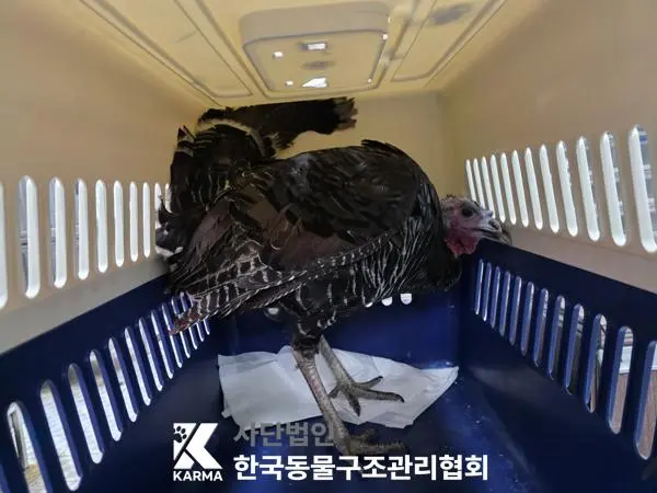 기타축종 보호중 사진