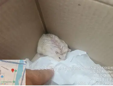 기타축종 보호중 사진