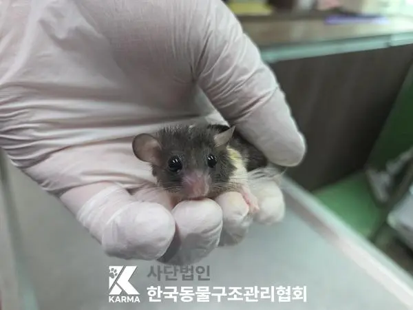 기타축종 보호중 사진
