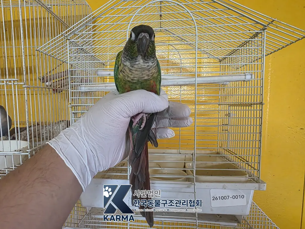 기타축종 보호중 사진