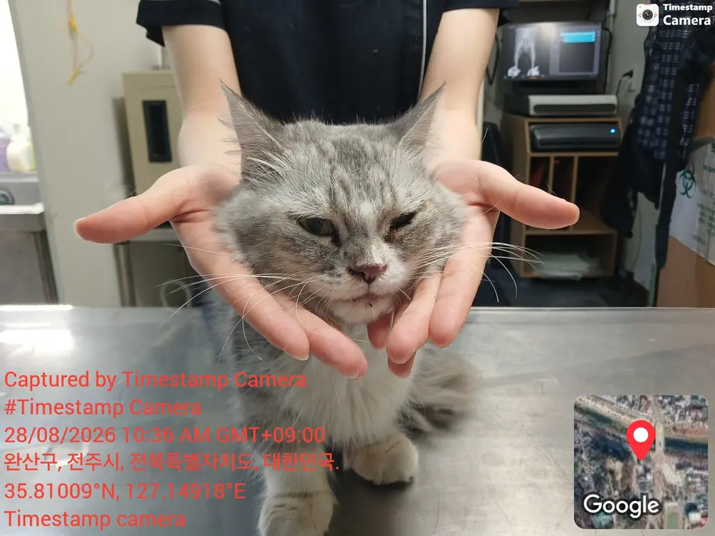 먼치킨 보호중 사진
