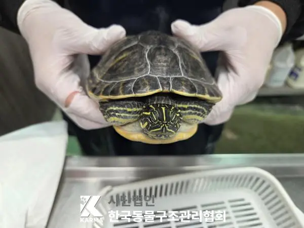 기타축종 보호중 사진