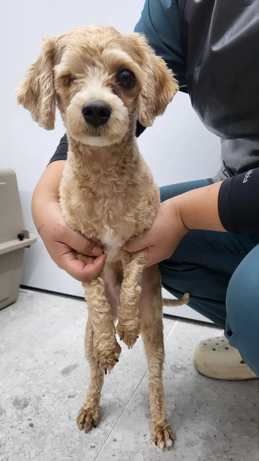 기타 보호중 사진